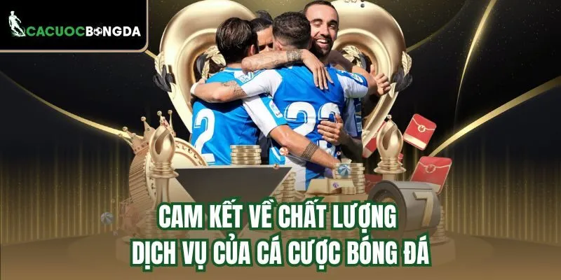 Cam kết về chất lượng dịch vụ của Cá Cược Bóng Đá