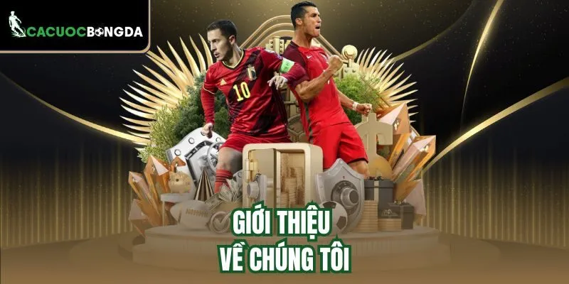 Giới thiệu về chúng tôi