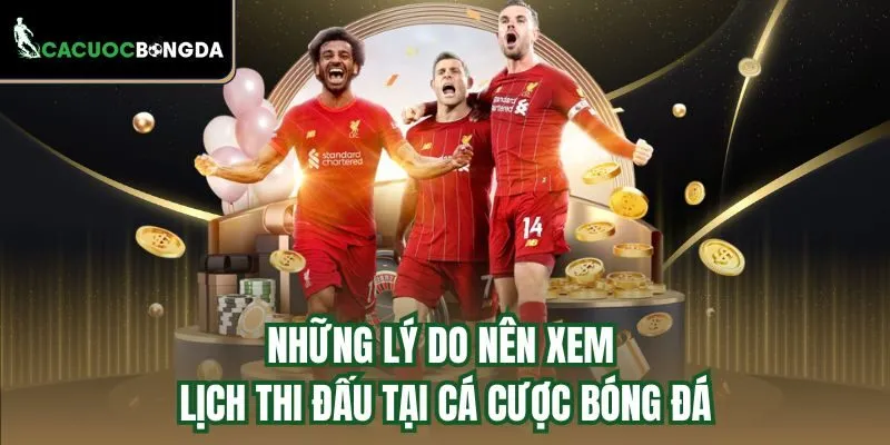 Những lý do nên xem lịch thi đấu tại Cá Cược Bóng Đá