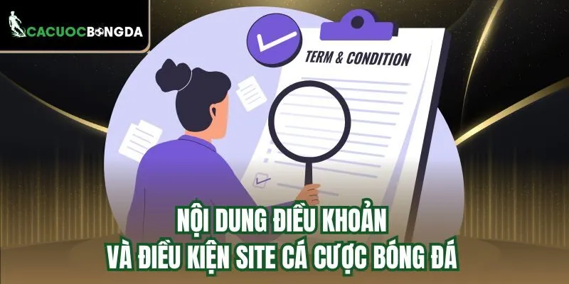 Nội dung điều khoản và điều kiện chi tiết của trang web