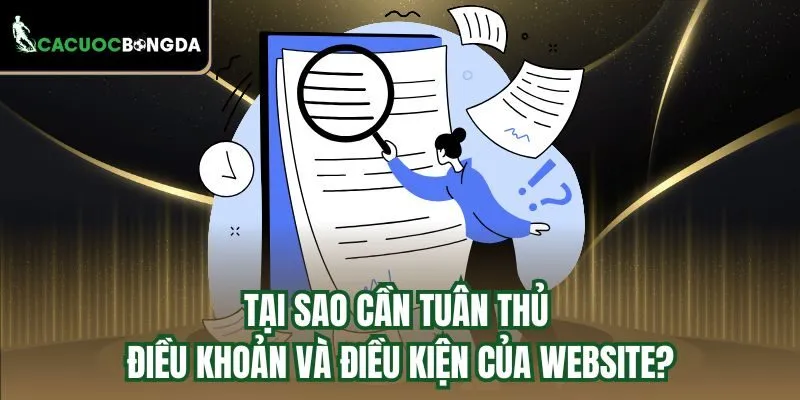 Tại sao cần tuân thủ điều khoản và điều kiện của website?