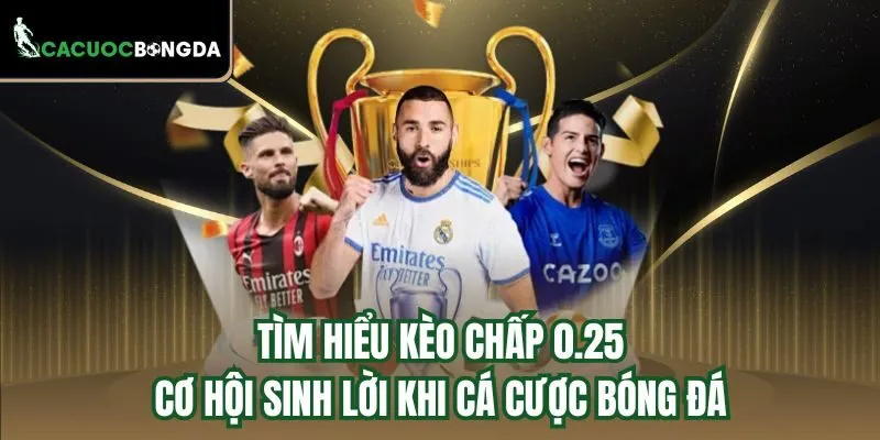 Kinh nghiệm bắt kèo chấp 0.25 từ cao thủ cá cược